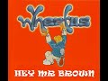 Wheatus - Hey Mr Brown (With Club Audience)