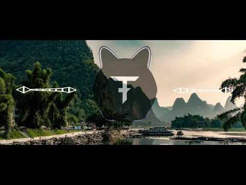 Yung Gravy, Pouya, Ramirez, Trippy tha Kid - The Boys At Back In Town