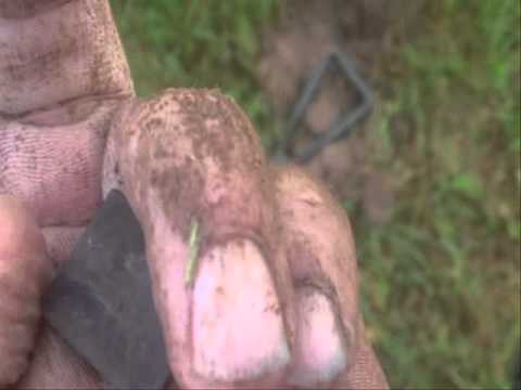 Moje Wykopki (Odc  91)