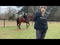 IMG 2223