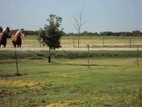 Bone Daddy meeting Isis and Rebecca