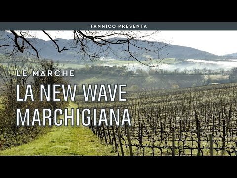 I Verdicchio Boys e la New Wave marchigiana | Tannico Flying School