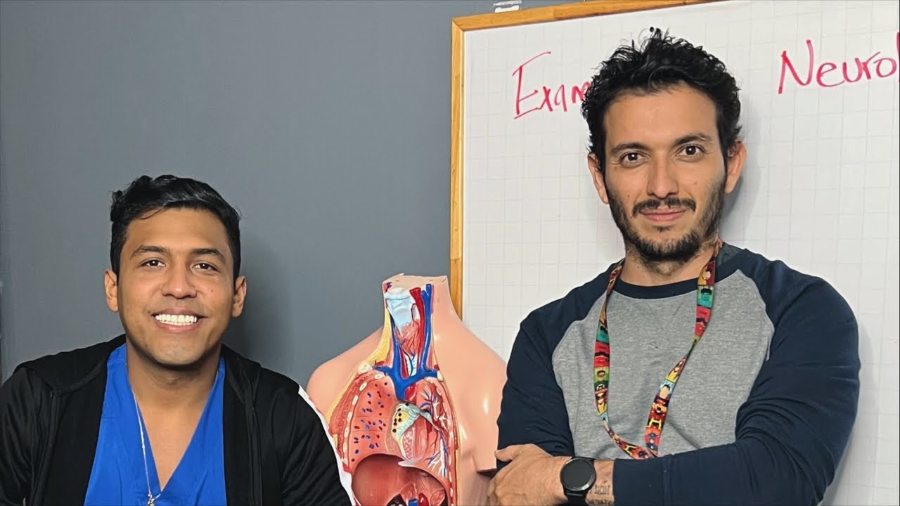 Examen Físico - NEUROLOGICO 🧠 - Básico