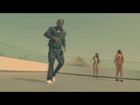 Mr442 - Verified [Visualizer Video]