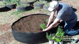 Raised Bed Gardening in Smart Pots