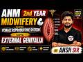 Female Reproductive System External Genitalia Complete In One Class ANM 2nd Year Midwifery