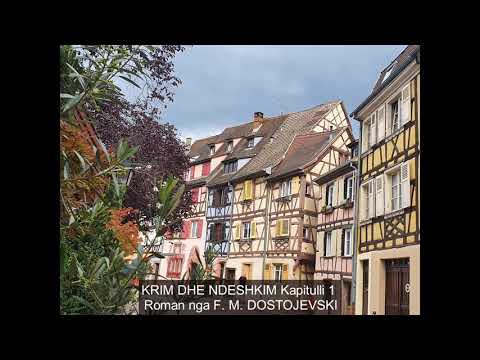 KRIM DHE NDESHKIM Kapitulli 1 Roman nga F  M  DOSTOJEVSKI Albanian Audiobook