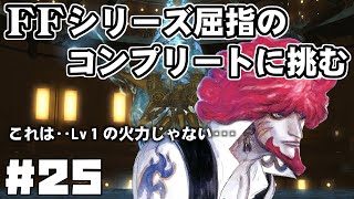 【FF9】最強の召喚士エーコが誰も見たことがない究極のデータを目指します（第25話～古の船）