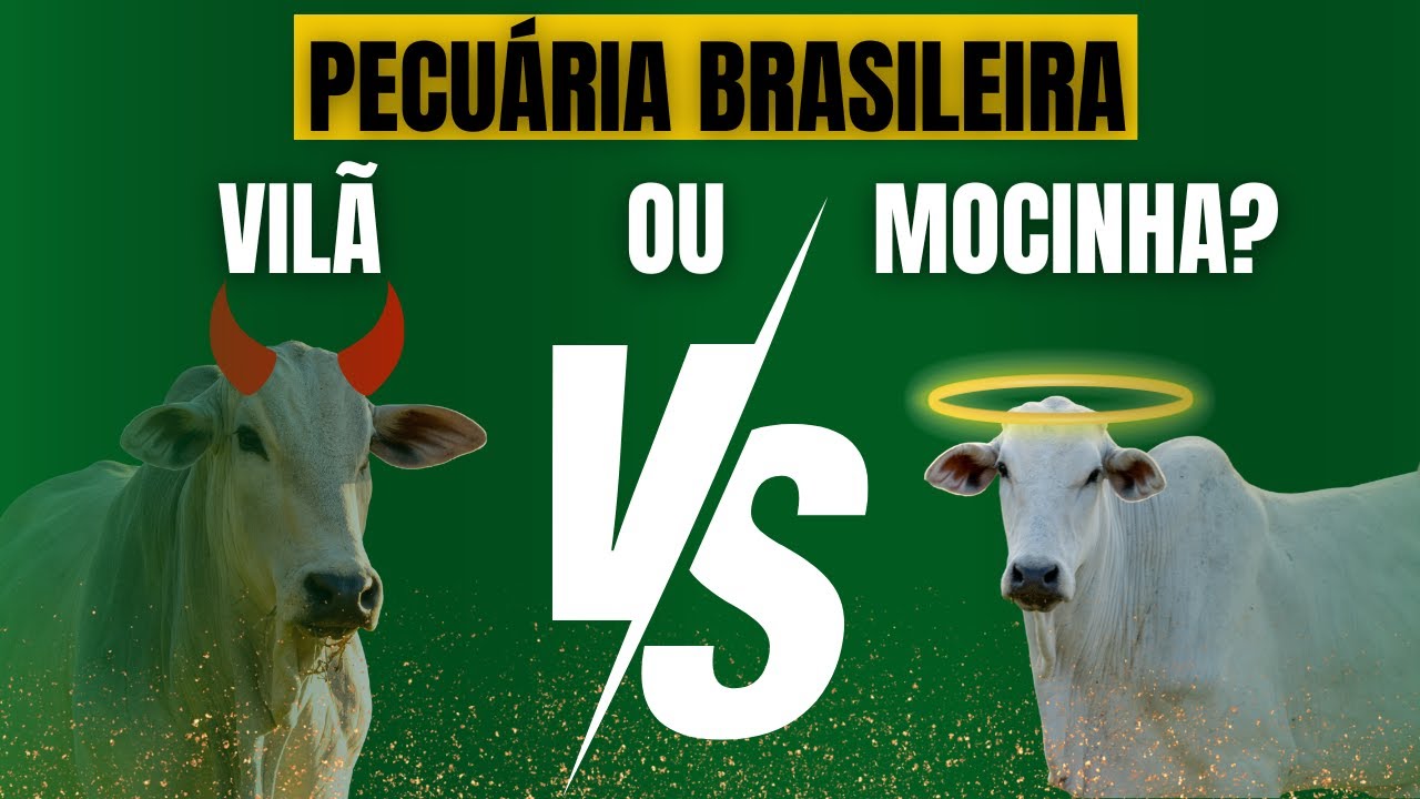 O GADO é o vilão das MUDANÇAS CLIMÁTICAS? Descubra 6 fatos sobre a pecuária que a MÍDIA NÃO CONTA!