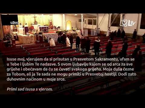 [UŽIVO] Sveta Misa iz Svetišta Majke Božje Remetske, Zagreb