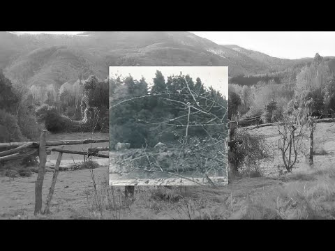 Acidal [Sub Esp/Eng] - Uaral (Acidal 2004 [Demo]) Lyrics