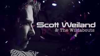 SCOTT WEILAND & The Wildabouts   Live   Nanaimo, B C  by Gene Greenwood