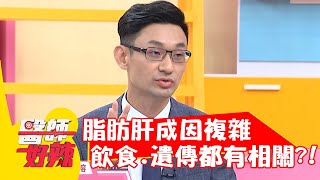 脂肪肝成因複雜！飲食.遺傳都有相關？！【#醫師好辣】20211220 part1 EP1255 余皓然 陳榮堅