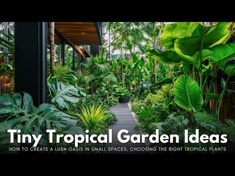 Tiny Tropical Garden Ideas: How to Create a Lush Oasis in Small Spaces