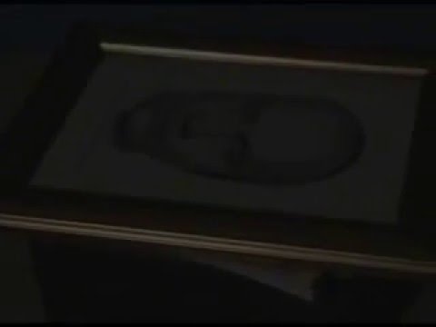 introduction to meditation: the new common sense