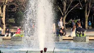 上野公園噴泉秀