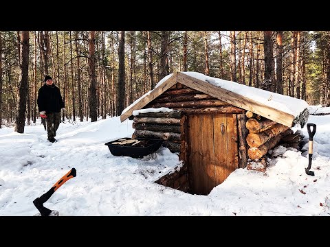 3 days in my forest house  life in the forest