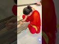 New Labrador Puppy Cute Puppy Video Indian Family Dog Pet Shop Youtube Dog Short