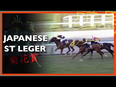 2022 Japanese St Leger | Gaia Force, Ask Victor More 菊花賞 アスクビクターモア ガイアフォース