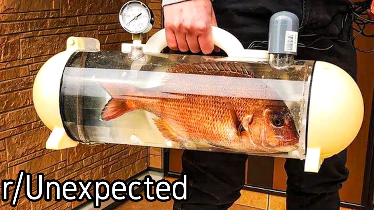 r/Unexpected | Not sure how this happened...