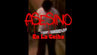 preview picture of video 'Asesino En La Ceiba'