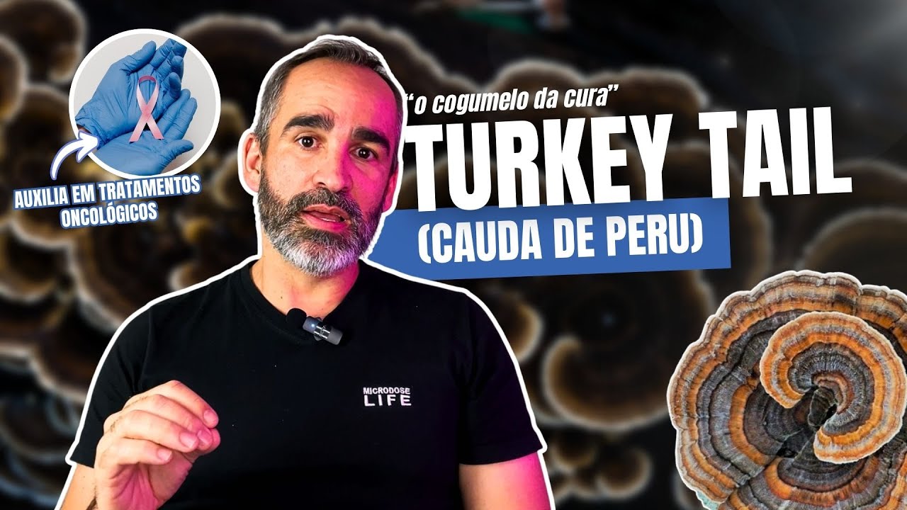 Fungos: A Rede Oculta da Floresta