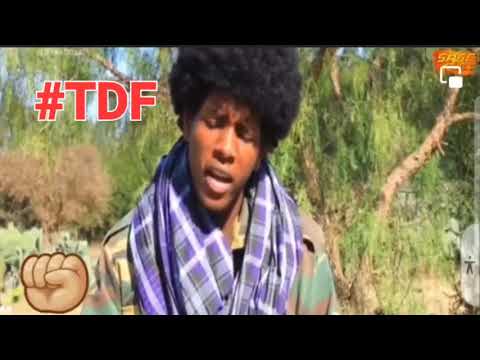 #TDF #ትግራይ
