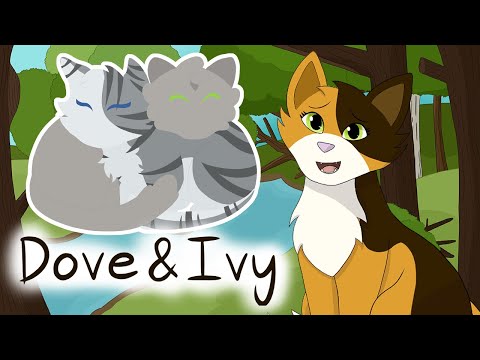 Dovewing & Ivypool – Sunny's Spiel | Warriors Analysis