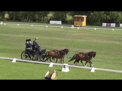 Sven KNEIFEL (GER) CH-M-A Combined Ponies, P4, Ászár-Kisbér (Hungary), dressage, 27.09.2019