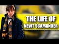 The Life of Newt Scamander: Why He's the Perfect Hero For HIS Franchise (Harry Potter Video Essay)