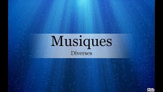 Seul Johnny Hallyday 2014 + paroles