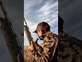 How I Duck Call and Finish Ducks #duckhunting #hunting #shorts