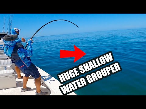 Catching HUGE Gag Grouper In Shallow Water (Saltwater Florida Fishing Adventures In Crystal River)