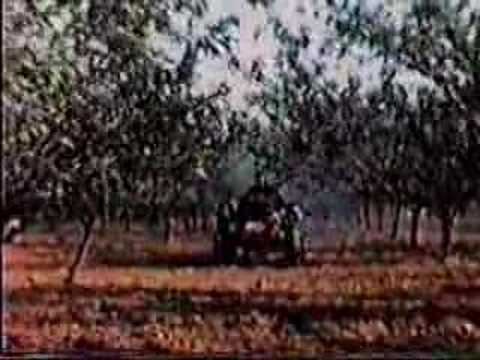 WIJNGAARDBERG (Rare color footage 1960/1961)