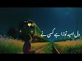 Dil E Umeed Tora Hai Kise Ne Ustad Nusrat Fateh Ali Khan Sad Song 360p