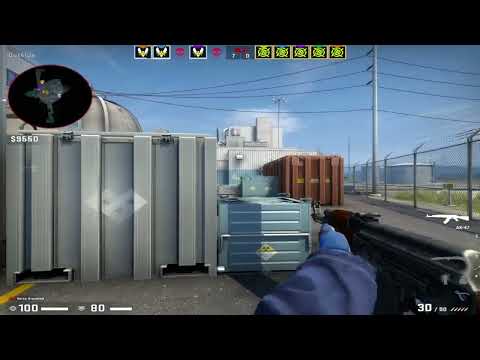 CSGO POV Vitality ZywOo (27/13) vs NIP (nuke) @ ESL Pro League Season 16