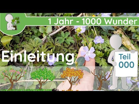 1 Jahr - 1000 Wunder - Teil 000 (Einleitung) - Wildkräuter, Wildpflanzen, Bäume Doku/Dokumentation