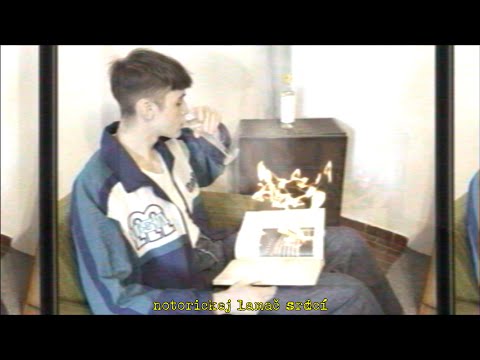 david - lamač srdcí (official music video)