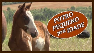 Miniatura do vídeo