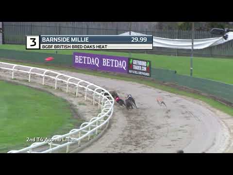 2021 BGBF BRITISH OAKS - HEAT 2 - T3 BARNSIDE MILLIE
