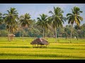 Samba Nathu Lyrics Swarnalatha
