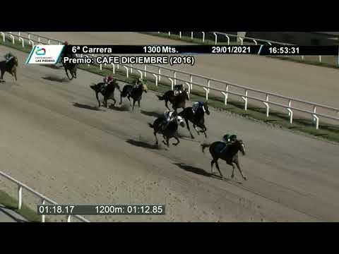 210129 c06 - ROMELLY - HIPODROMO LAS PIEDRAS