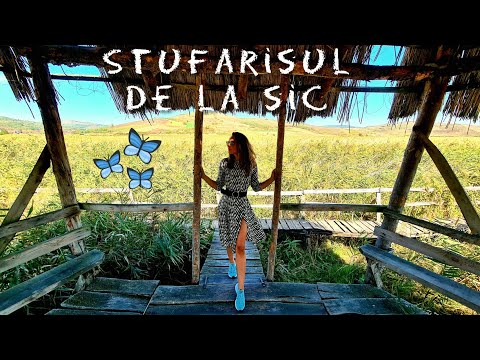 Stufarisul de la Sic 🌾