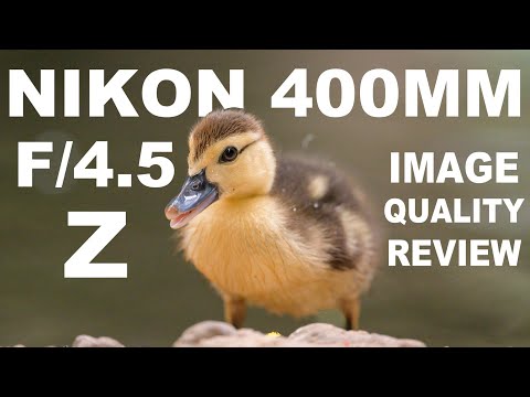 Nikon Nikkor 400mm f4.5 lens Review and samples vs 70-200mm f2.8 w/ tc 2x - English