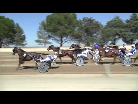 Ippodromo dei Sauri - Game driver 2025 del 20.3.2025