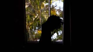 Outro tease ou outro disparo?