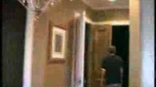 Stereo Fuse - Fake Cribs