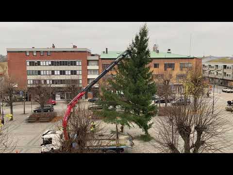 JULGRANEN @ RONNEBY ToRG - 2021-11-16 - iPhone SE