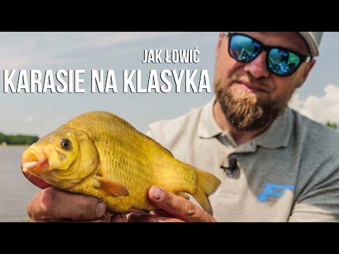 Jak skutecznie łowić karasie na klasyczny feeder?