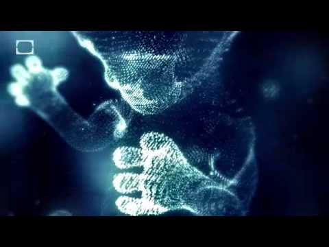 To Be Human Is To Be Transhuman